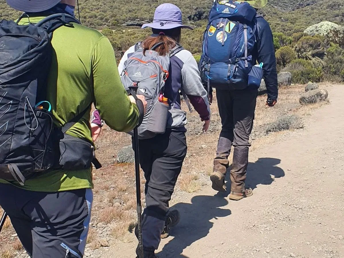 Kilimanjaro Africa