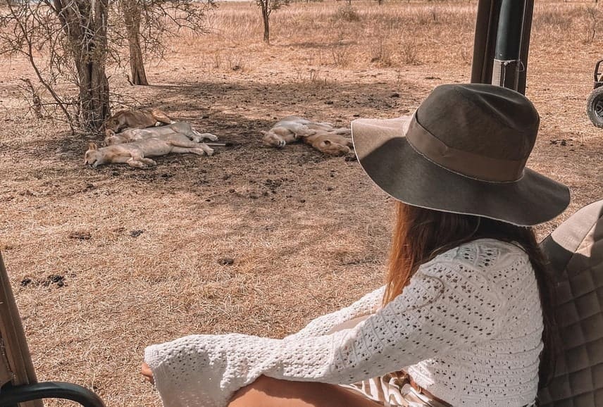 Wildlife Safari in Tanzania