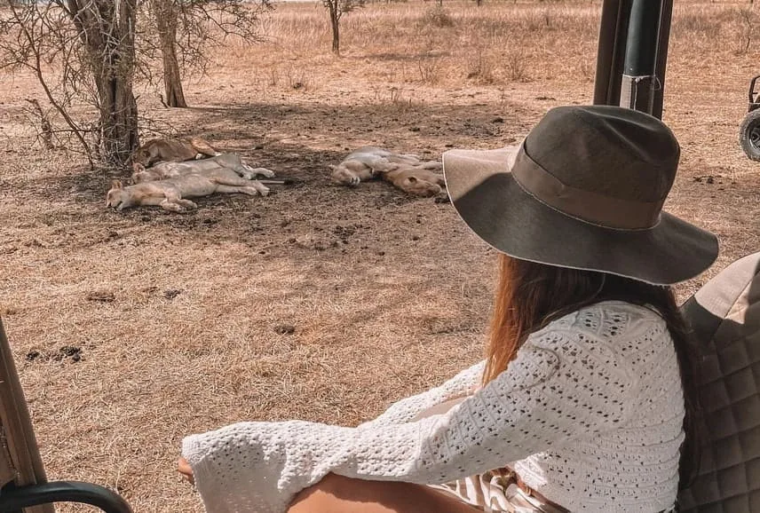 Wildlife Safari in Tanzania