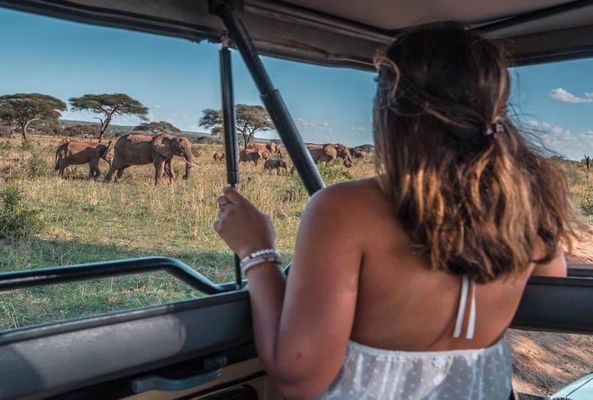 Safari in Tanzania