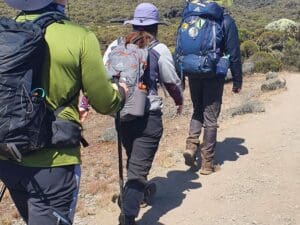 Kilimanjaro Africa