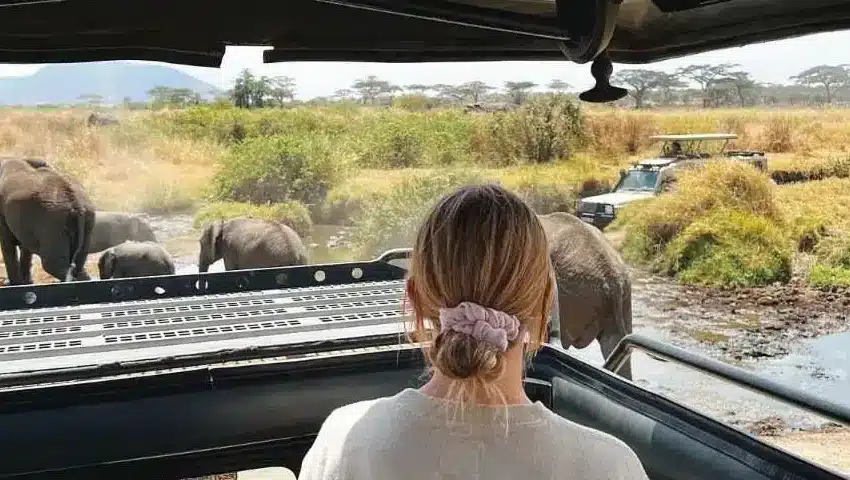 safaris