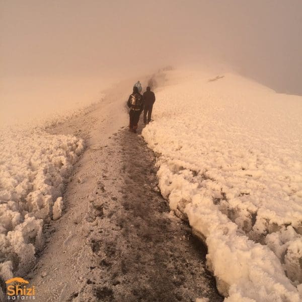 Mt Kilimanjaro